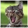 care aveti invitatii ptr aorice torrent plzzz help me ym :uimit:  ;) ce sunt iau un film..... faq