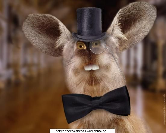 salut tuturor!!! am si eu nevoie de o invitatie pe auzit k e super bun) caut de ff mult timp si nu